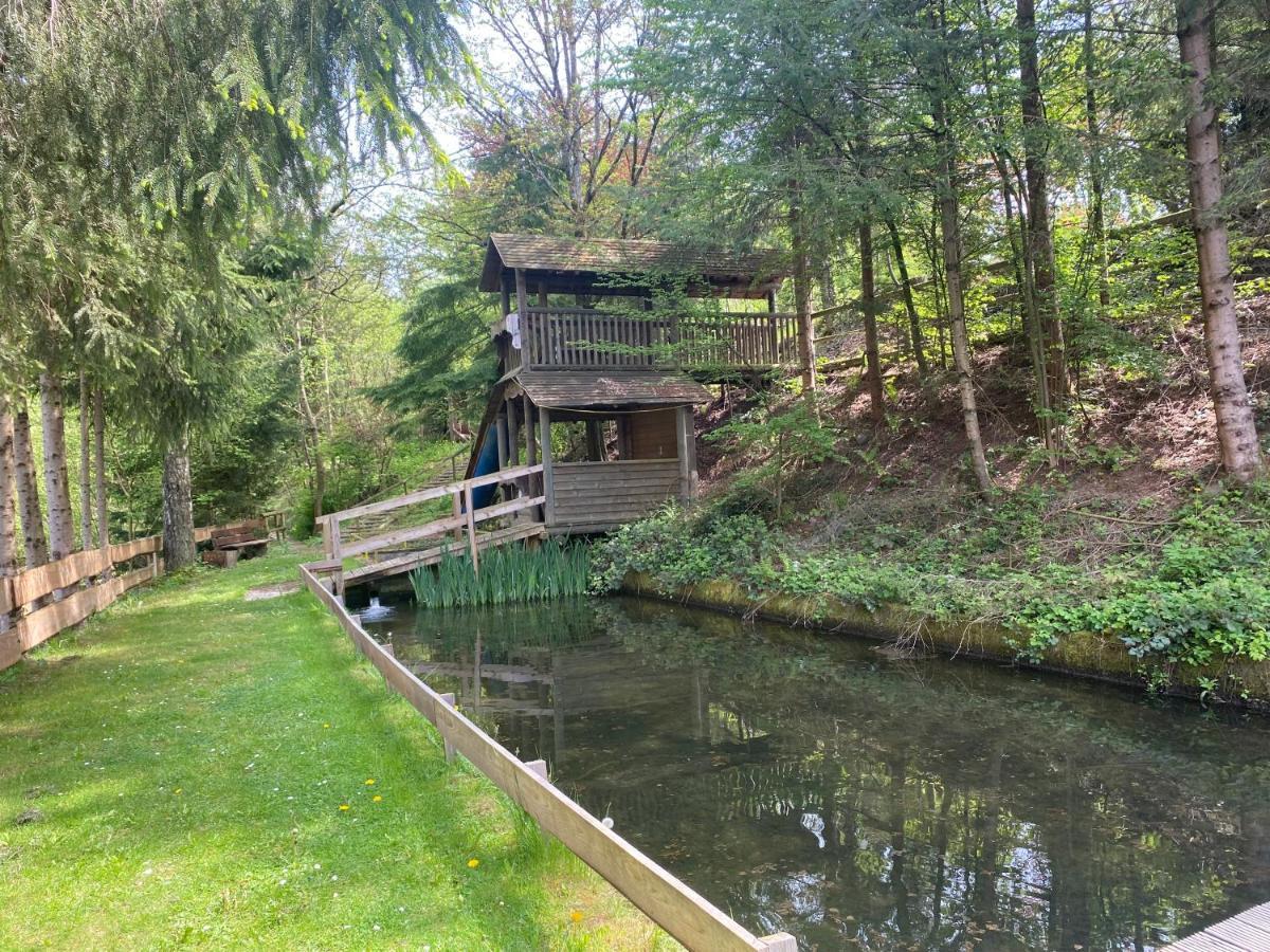 Hotel-Restaurant Theis-Muehle Бирсдорф Экстерьер фото